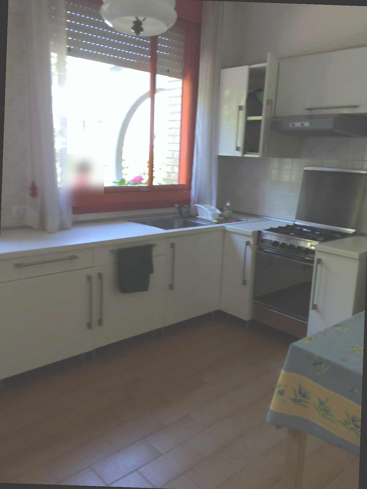 Cucina con finestra sul giardino
